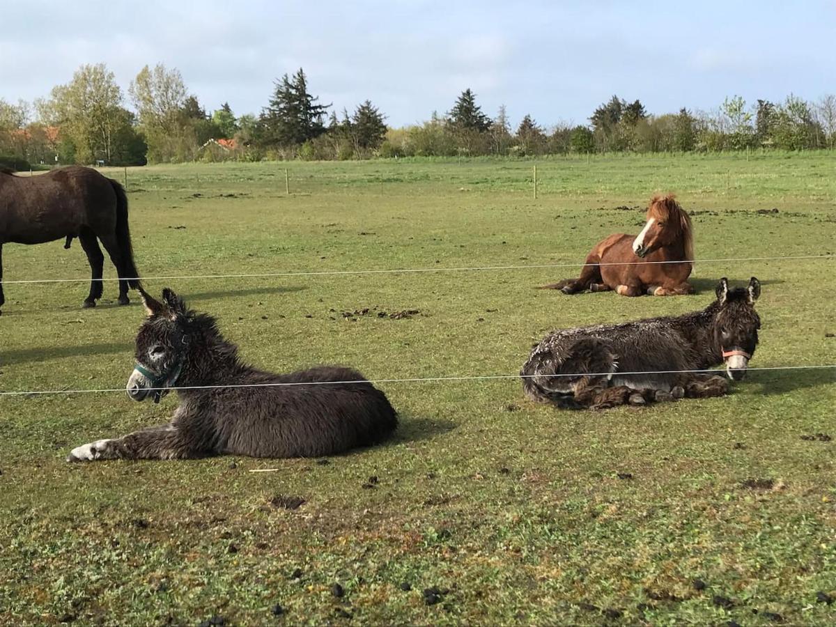 Bb-Vadehavet Ferielejlighed Til 6 Personer Ved Nationalpark Vadehavet 里伯 外观 照片