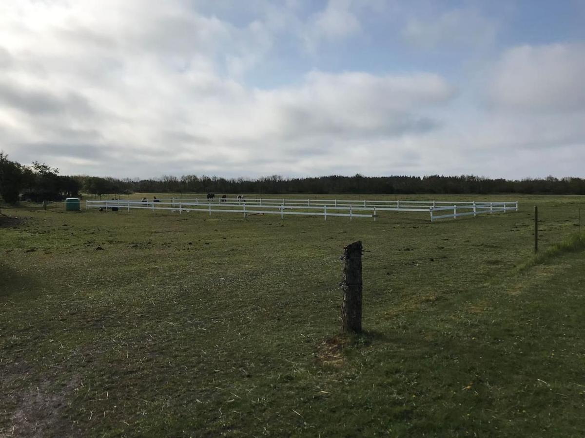 Bb-Vadehavet Ferielejlighed Til 6 Personer Ved Nationalpark Vadehavet 里伯 外观 照片