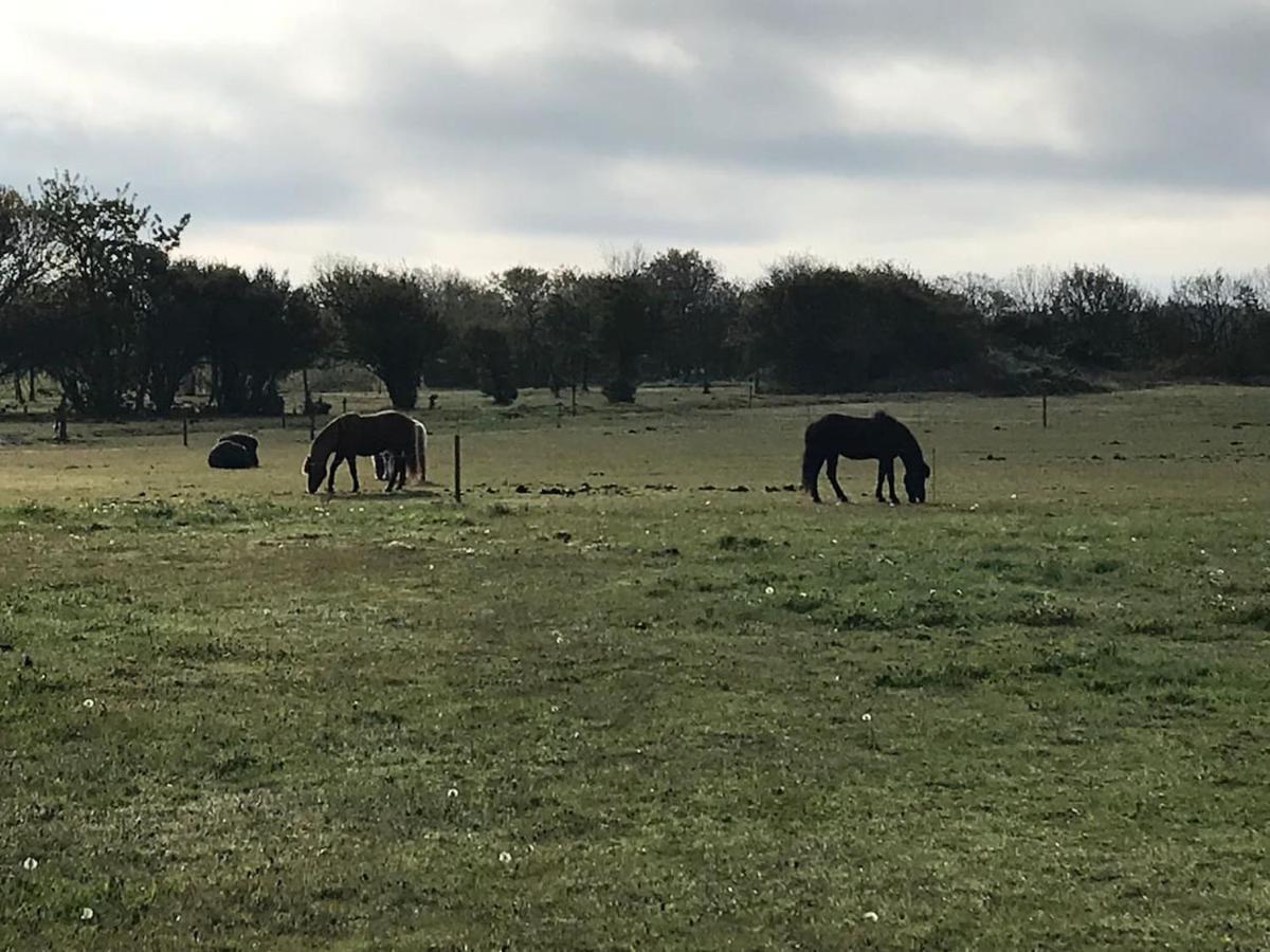 Bb-Vadehavet Ferielejlighed Til 6 Personer Ved Nationalpark Vadehavet 里伯 外观 照片